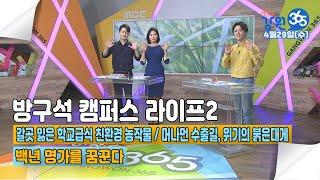 [원주MBC]생방송 강원365 5월 19일 Full.Ver