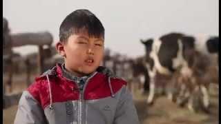 Danone Farm 2013 (KZ TVC) - Данон Ферма (Дауыр) (Реклама)