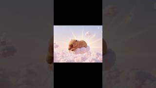 This is the scene of my dreams.#capybara #heal #sleep #cute #funny #dream #scenes