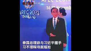 泰國總理巴育被習近平冷落，APEC歡迎招待會上不配和習近平握手？#shorts