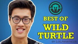 Best of WildTurtle | NA LCS Spring Split 2016