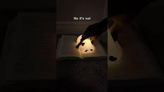 Best. Night. Light. Ever. Link in profile. #cute #lamp #panda #nightlamp