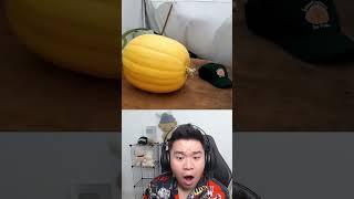 Bí Ngô Khổng Lồ 600Kg #buron #buronreaction #buronkanzaki