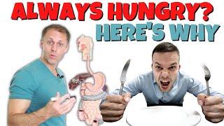 6 Reasons You’re Always Hungry