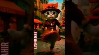 ai cat funny dance#cat #catloversahir #0088