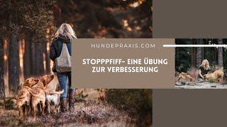 Eine Übung zur Verbesserung des Stopppfiffs