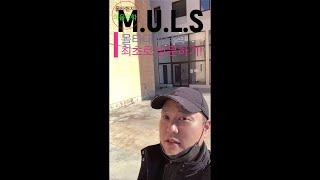 [몰타]진짜 대학부설이란 이런거죠!!! 유학원 최초로 방문한 몰타대학부설어학원!!(Malta University Language School] 몰타현지이음유학