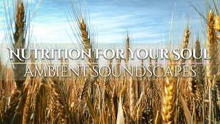 Ambient Soundscapes | Meditation & Focus Music