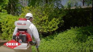 Custom Mosquito Solutions | Orkin