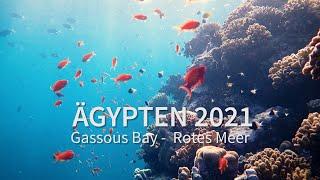 Ägypten 2021: Gassous Bay - Rotes Meer // Egypt 2021: Gassous Bay - Red Sea (4K)