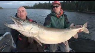 Monster 54 inch Musky - Uncut Angling - Nov. 1, 2011