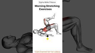 The Best Morning Stretching Exercises #shorts #shortvideo