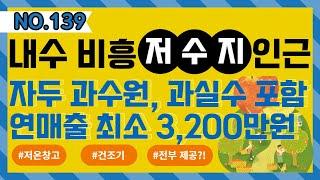 NO.139 청주 비상리 토지매매 / 비흥저수지 인근 관리 잘된 자두 과수원, 과실수 연매출 최소 3200만 저온창고, 건조기 모두 포함된 청주시 청원구 내수읍 비상리 토지매매