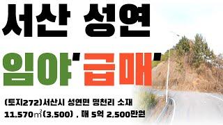 (토지272)(급매)서산시 성연면 명천리임야토지매매, 11,570㎡(3,500), 공장, 2종근생, 고물상강력추천, 매매 5억 2,500만원