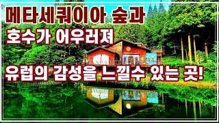 아무도 없는 숲속에서 드라마촬영지 반영이 무척 아름다운 이국적인 사진명소 an onbit recreational forest