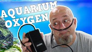 Are Aquarium Air Pumps Oxygen Tanks? Fish Tank Bubbles, Do You Need Them?