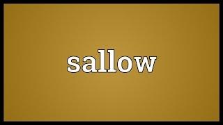 Sallow Meaning