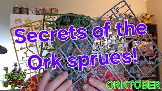 Secrets of the Warhammer 40K Ork Boyz sprues! Old, new, Lootas, Burnas, Warnikers, and more!