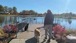 Suburban K9 Dog Training in Buffalo Grove, Illinois