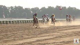 Craziest  Horse race in Karachi | 8th Quaid-eAzam Gold Cup