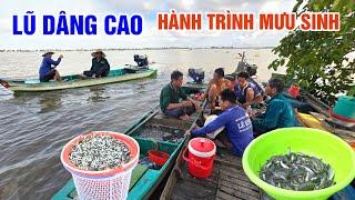 LŨ DÂNG CAO SAU BÃO YAGI - HÀNH TRÌNH MƯU SINH THEO CON CÁ TRÊN CÁNH ĐỒNG NƯỚC NỔI