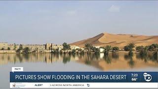 Fact or Fiction: Is a photo of flooding in the Sahara Desert real?