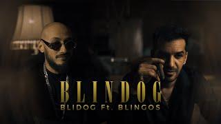 BLIDOG ft. @BLINGOS - Blindog (Official Music Video)