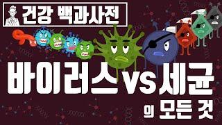 [Eng] 바이러스vs세균 | 바이러스와 세균은 무슨차이가 있는걸까? @세모지