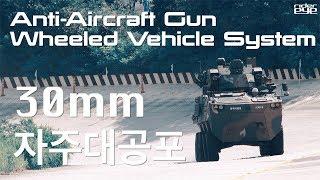 Hanwha Defense  AAGW(Anti-Aircraft Gun Wheeled Vehicle System)/한화디펜스 30mm차륜형 대공포[ridereye]