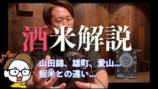 【日本酒】酒米と飯米の違い...山田錦など代表的な品種...米/水/酵母/造りが味わいに与える影響...酒造好適米との違い［サケラボ日本酒ばなし］