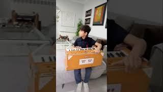 Harmonium ️️ #culture #music #harmoniumtutorial #everyone