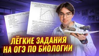 Легкие баллы на ОГЭ по биологии | Самые легкие задания | Умскул