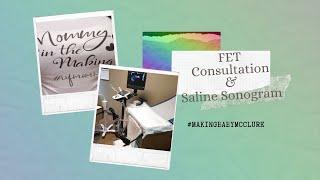 FET Consultation and Saline Sonohysterogram