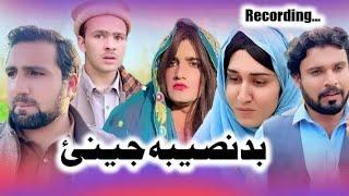 BADNASEEBA JENNY DRAMA RECORDING || NEW Video By Gull Khan Vines | 2025