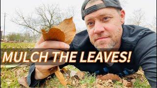 Benefits of Mulching Leaves | Better Than Bagging!