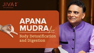 Apana Mudra helps in Body Detox and Digestion