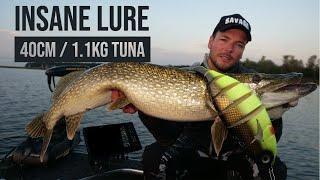 INSANE GIANT TUNA LURE (40CM / 1.1KG!)... FOR PIKE?!