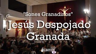 EN DIRECTO: Banda CCyTT Jesús Despojado - Sones Granadinos - Granada 2024