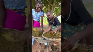 Refreshing the winnowers with cow dung every 2-3 times a year