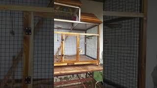 Wooden birds cage