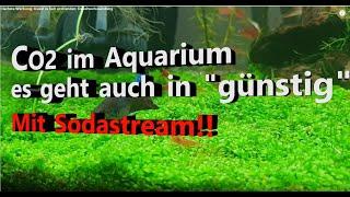 CO2 Anlage Aquarium (Sodastream) nur in "günstig" Marke "Eigenbau". So wird's gemacht...Teil 1/3