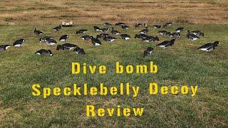 Dive Bomb Specklebelly Silhouette Decoy Unboxing And Review