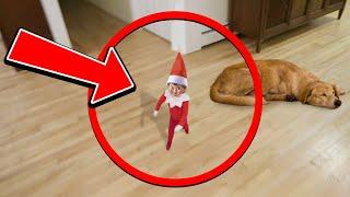 Elf On The Shelf Caught Walking & Talking ON CAMERA! flying 