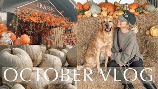 OCTOBER VLOG  Pumpkin patch, The Hollies farm shop & woodland walks