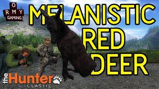 Ormy Gaming theHunter Classic - Melanistic red deer - feat. BrainD