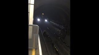 MONSTER RAT in London Underground station