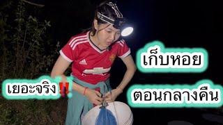 พายุฝนเข้าเต็มๆ ออกเก็บหอยตอนกลางคืน28 ตุลาคม 2567