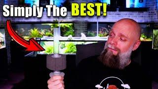 Simply The Best Sponge Filter! ATI Hydro Sponge Filter Review