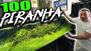 100 PIRANHA IN MY MONSTER AQUARIUM!? THE KING OF DIY