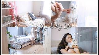 A DAY IN MY LIFE ️ AUGUST VLOG | Erna Limdaugh